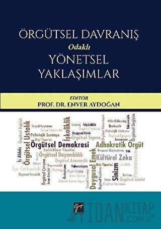 Örgütsel Davranış Odaklı Yönetsel Yaklaşımlar
