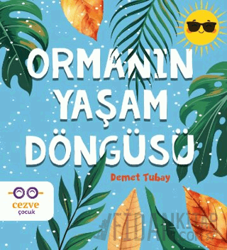 Ormanın Yaşam Döngüsü