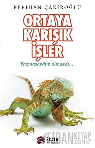 Ortaya Karışık İşler