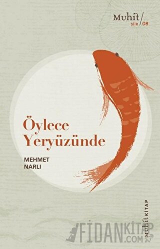 Öylece Yeryüzünde