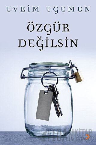 Özgür Değilsin