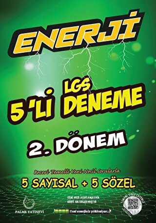 Palme 8. Sınıf Enerji LGS 2. Dönem 5'li Deneme