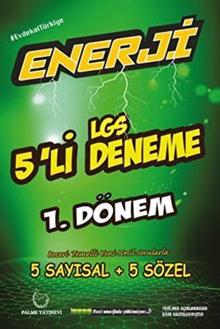 Palme Enerji LGS 1. Dönem 5'li Deneme
