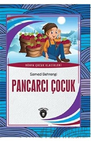 Pancarcı Çocuk