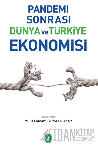 Pandemi Sonrası Dünya ve Türkiye Ekonomisi Murat Aksoy