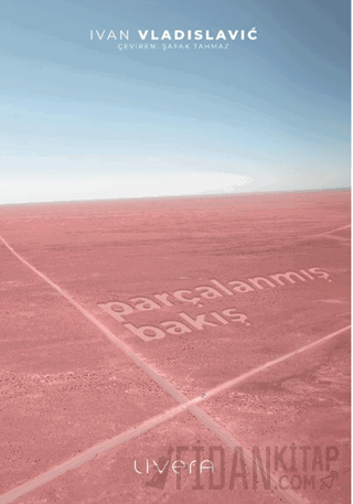 Parçalanmış Bakış