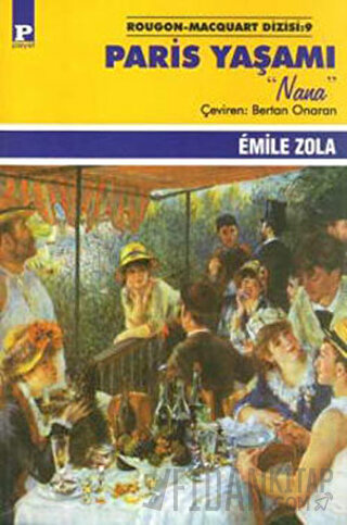 Paris Yaşamı Emile Zola
