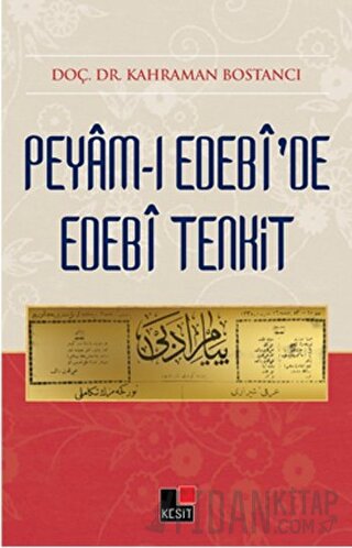 Peyami Edebide Edebi Tenkit