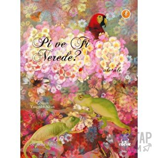 Pi ve Fi Nerede? (Ciltli)