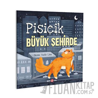 Pisicik Büyük Şehirde