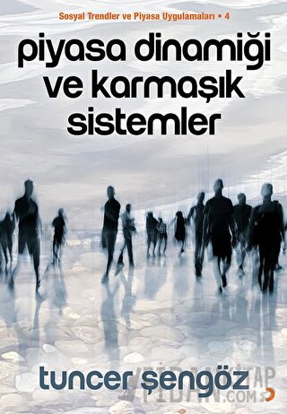 Piyasa Dinamiği ve Karmaşık Sistemler Tuncer Şengöz