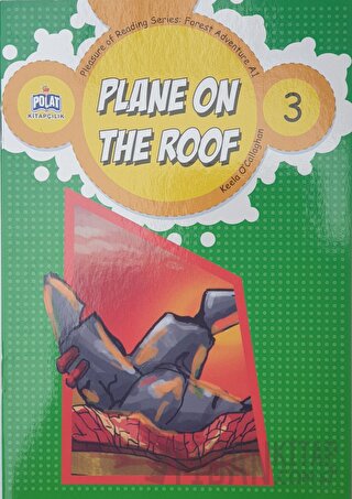 Plane On The Roof - 3 Kolektif