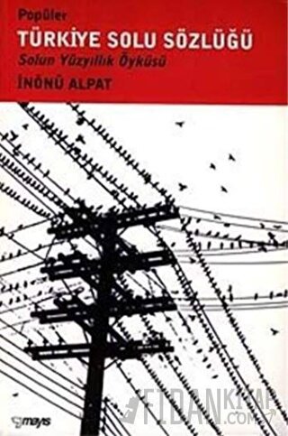 Popüler Türkiye Solu Sözlüğü Solun Yüzyıllık Öyküsü