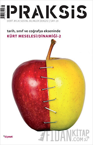Praksis Sayı: 29