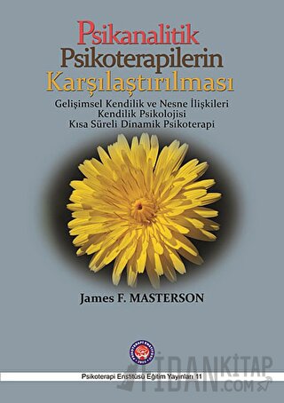 Psikanalitik Psikoterapilerin Karşılaştırılması