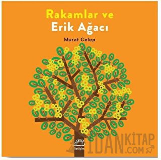 Rakamlar ve Erik Ağacı