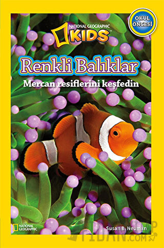 Renkli Balıklar