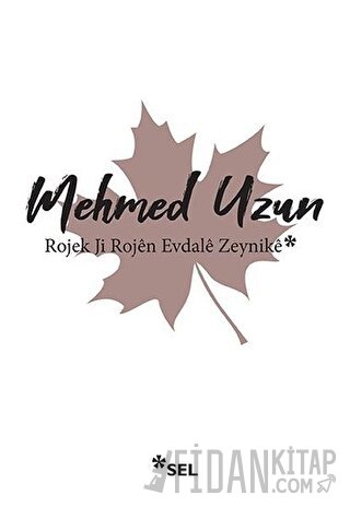 Rojek Ji Rojen Evdale Zeynike Mehmed Uzun