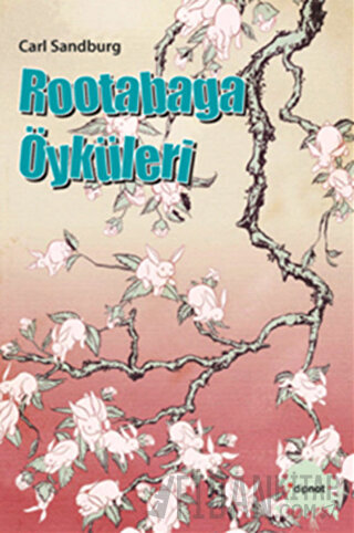 Rootabaga Öyküleri