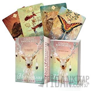 Ruh Hayvanları Kehanet Kartları