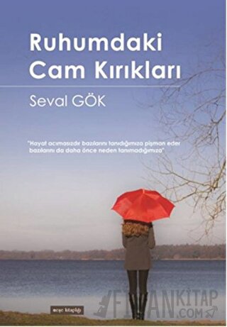 Ruhumdaki Cam Kırıkları
