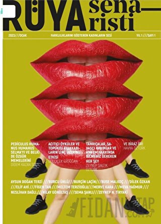 Rüya Senaristi Kolektif