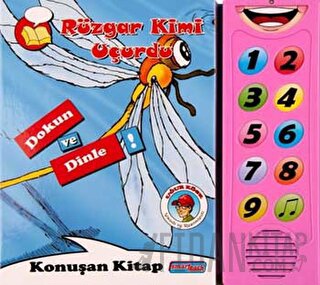 Rüzgar Kimi Uçurdu