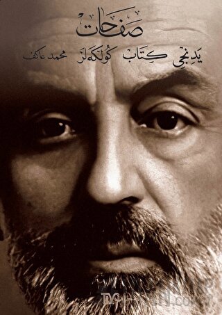 Safahat Yedinci Kitap Gölgeler