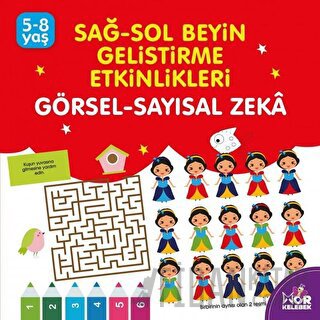 Sağ-Sol Beyin Geliştirme Etkinlikleri Görsel - Sayısal Zeka