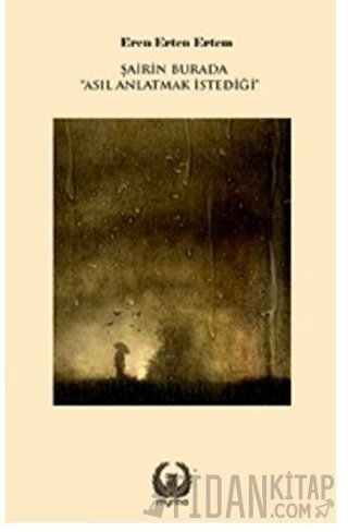 Şairin Burada Asıl Anlatmak İstediği