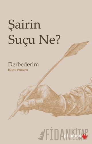 Şairin Suçu Ne?