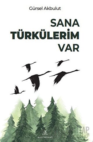 Sana Türkülerim Var