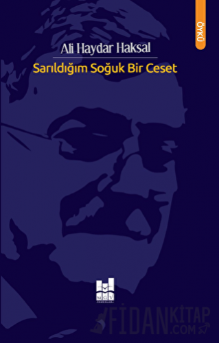 Sarıldığım Soğuk Bir Ceset