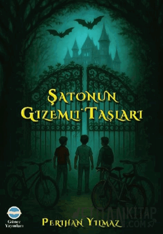 Şatonun Gizemli Taşları