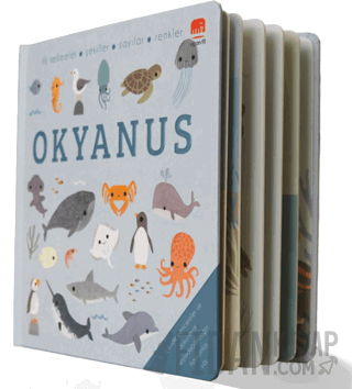 Say Bul Eğlen Okyanus (Ciltli)