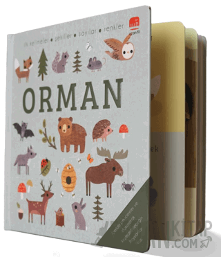 Say Bul Eğlen Orman (Ciltli)