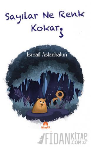 Sayılar Ne Renk Kokar İsmail Aslanhatun