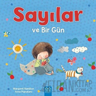 Sayılar ve Bir Gün