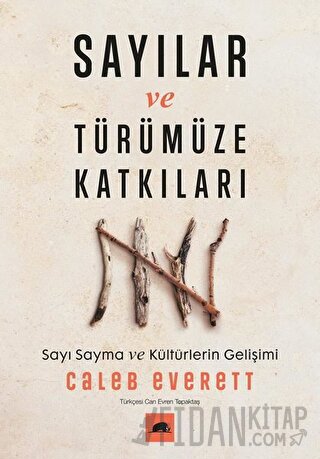 Sayılar ve Türümüze Katkıları