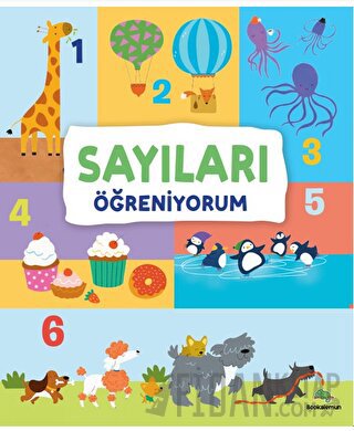 Sayıları Öğreniyorum (Ciltli)