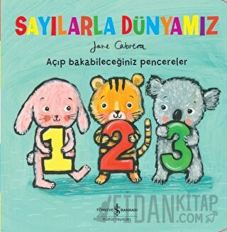 Sayılarla Dünyamız