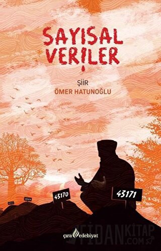 Sayısal Veriler