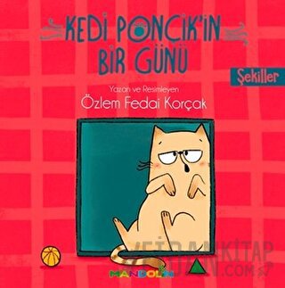 Şekiller - Kedi Ponçik'in Bir Günü