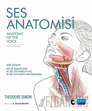 Ses Anatomisi Theodore Dimon