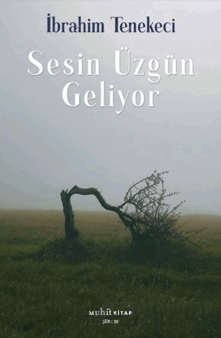 Sesin Üzgün Geliyor