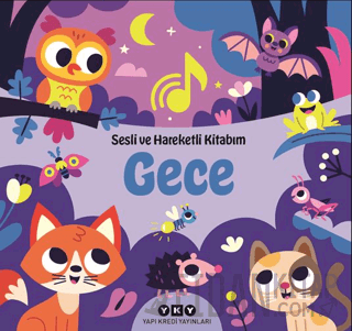 Sesli ve Hareketli Kitabım - Gece (Ciltli) Chantal Janisson