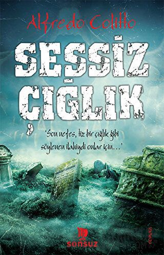 Sessiz Çığlık