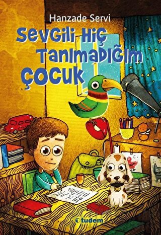 Sevgili Hiç Tanımadığım Çocuk