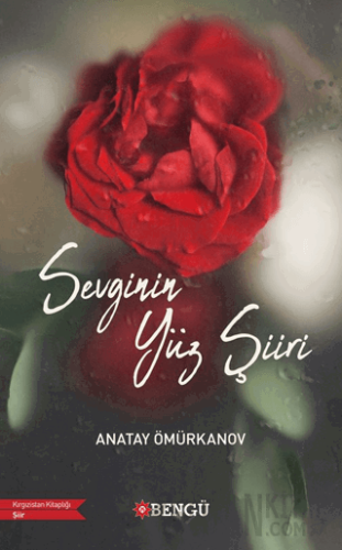 Sevginin Yüz Şiiri