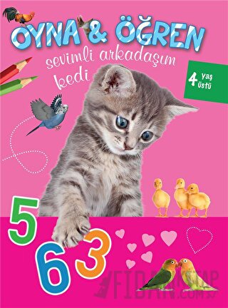 Sevimli Arkadaşım Kedi Kolektif